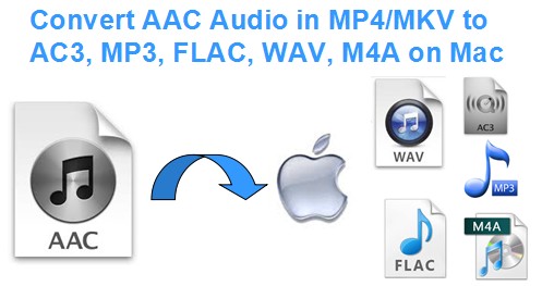 cannot play mp4 on mac