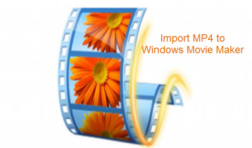 import photo to movie maker scews